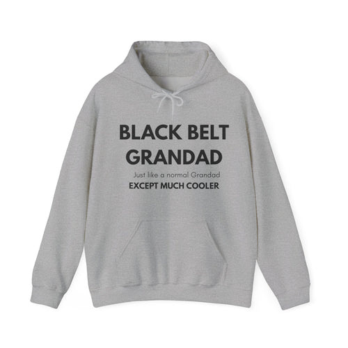 Black Belt Grandad Hoodie — "Just like a normal Grandad except much cooler" Gift