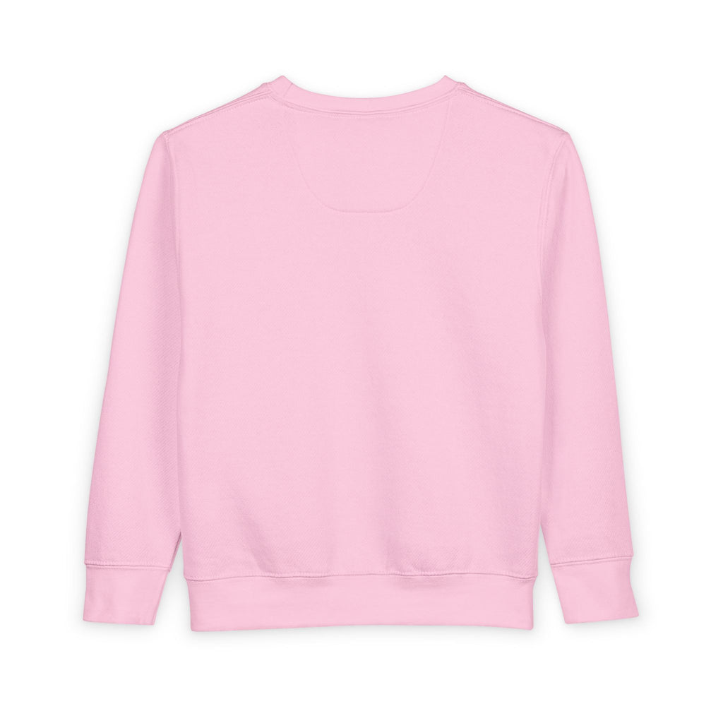 Toddler Sweatshirt: "If Mummy and Daddy Say 'No' Call Grandma" Cute Kids Pullover