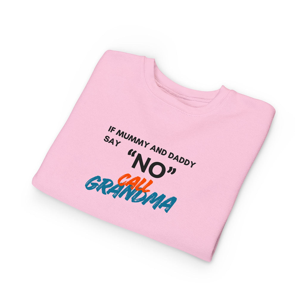 Toddler Sweatshirt: "If Mummy and Daddy Say 'No' Call Grandma" Cute Kids Pullover