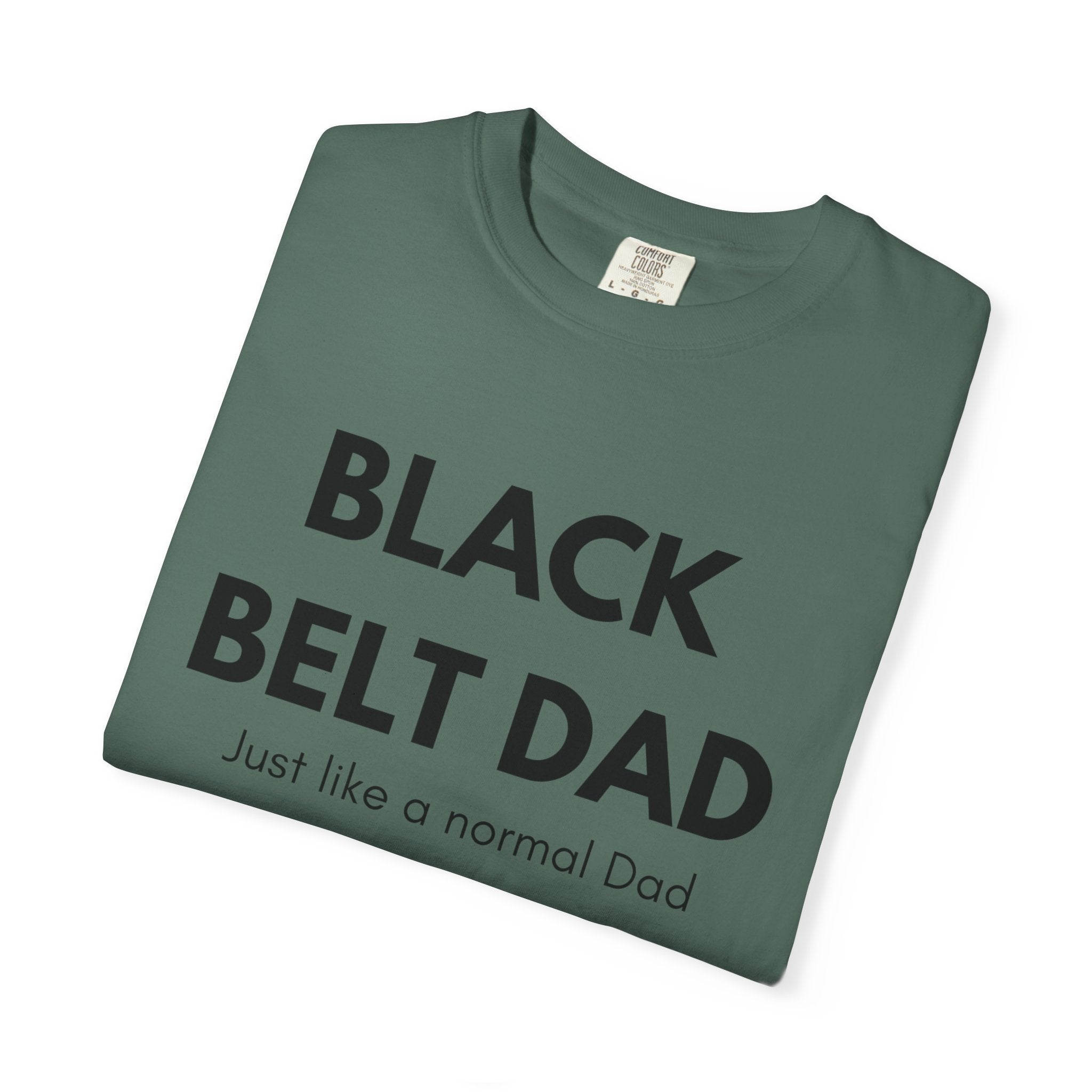 Black Belt Dad T-Shirt — "Black Belt Dad: Just like a normal Dad except much cooler" Martial Arts Father’s Day Tee