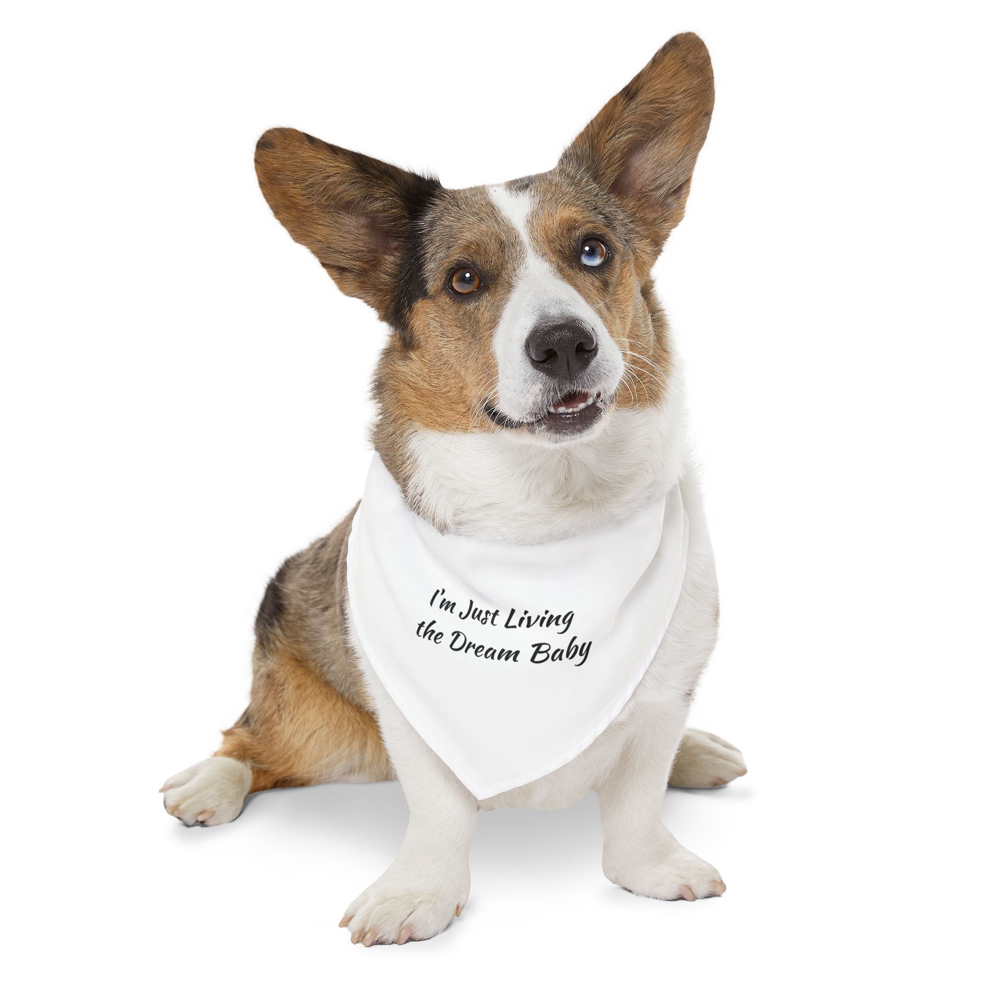 Pet Bandana — "I'm Just Living the Dream Baby" Dog Collar Bandana