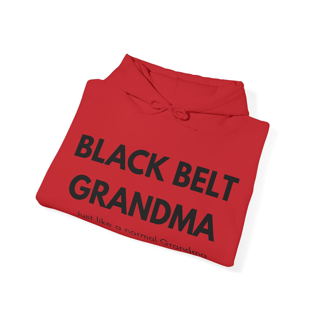 Black Belt Grandma Hoodie — "Just like a normal Grandma Except Much Cooler" Gift