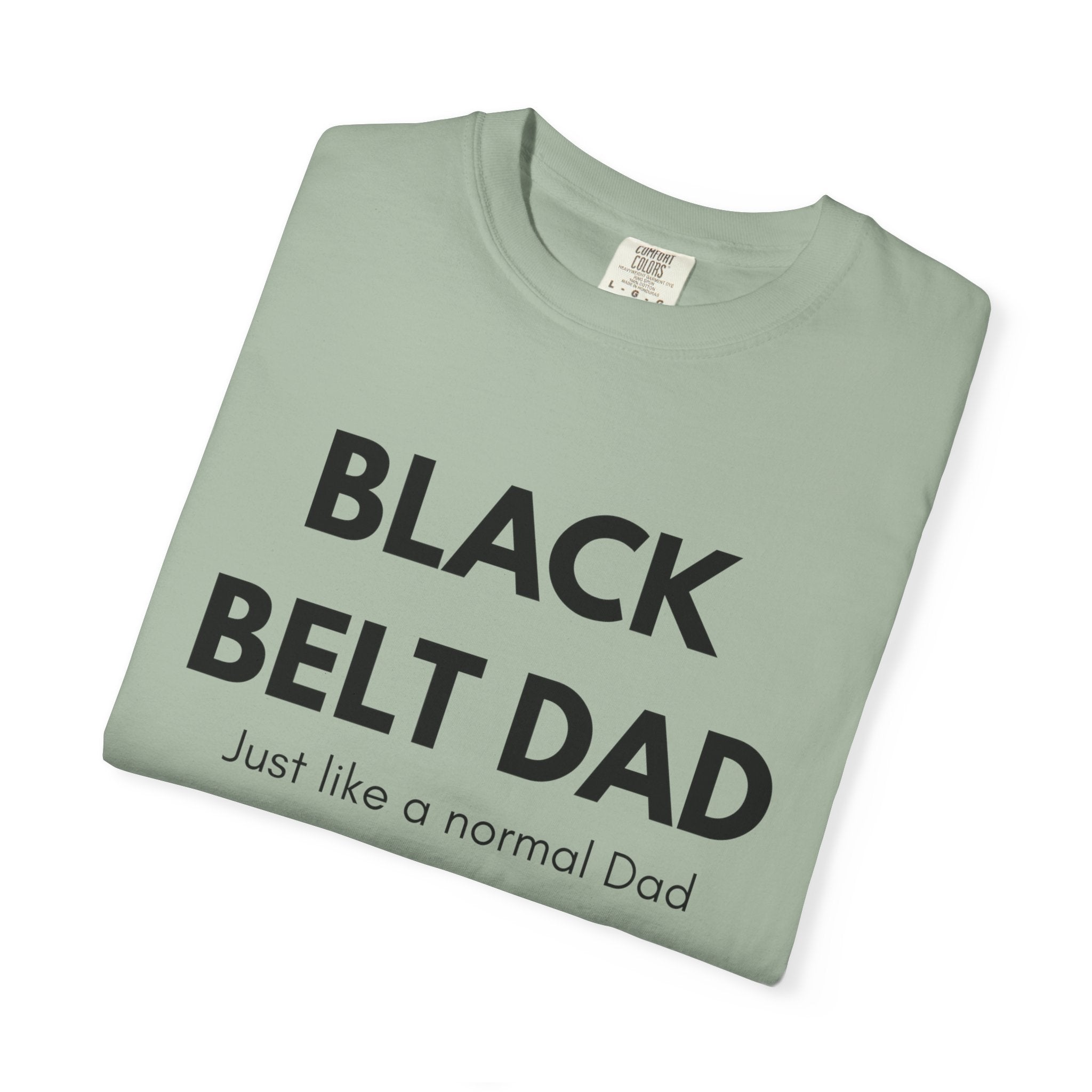 Black Belt Dad T-Shirt — "Black Belt Dad: Just like a normal Dad except much cooler" Martial Arts Father’s Day Tee