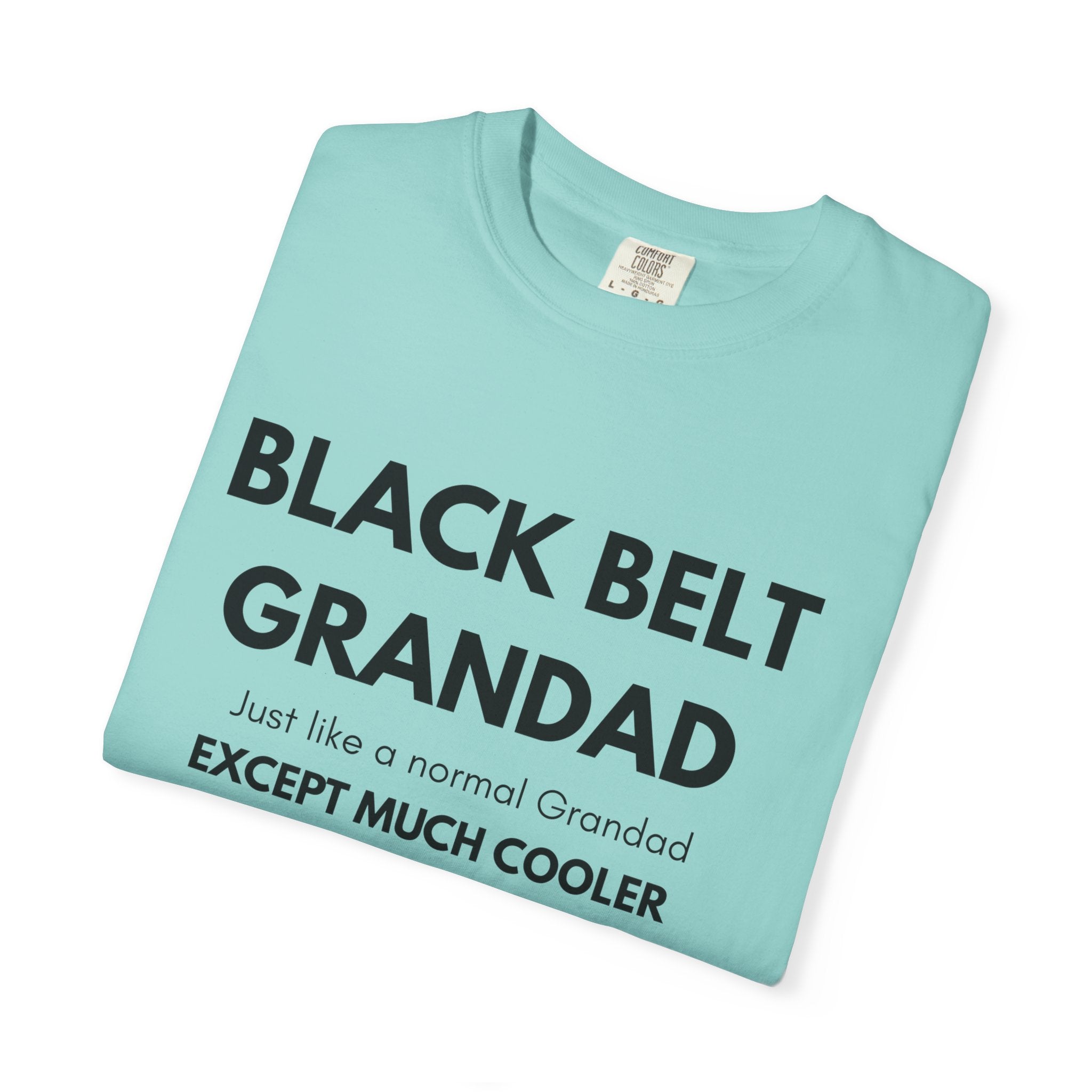 Black Belt Grandad T-Shirt — "Black Belt Grandad: Just like a normal Grandad except much cooler"