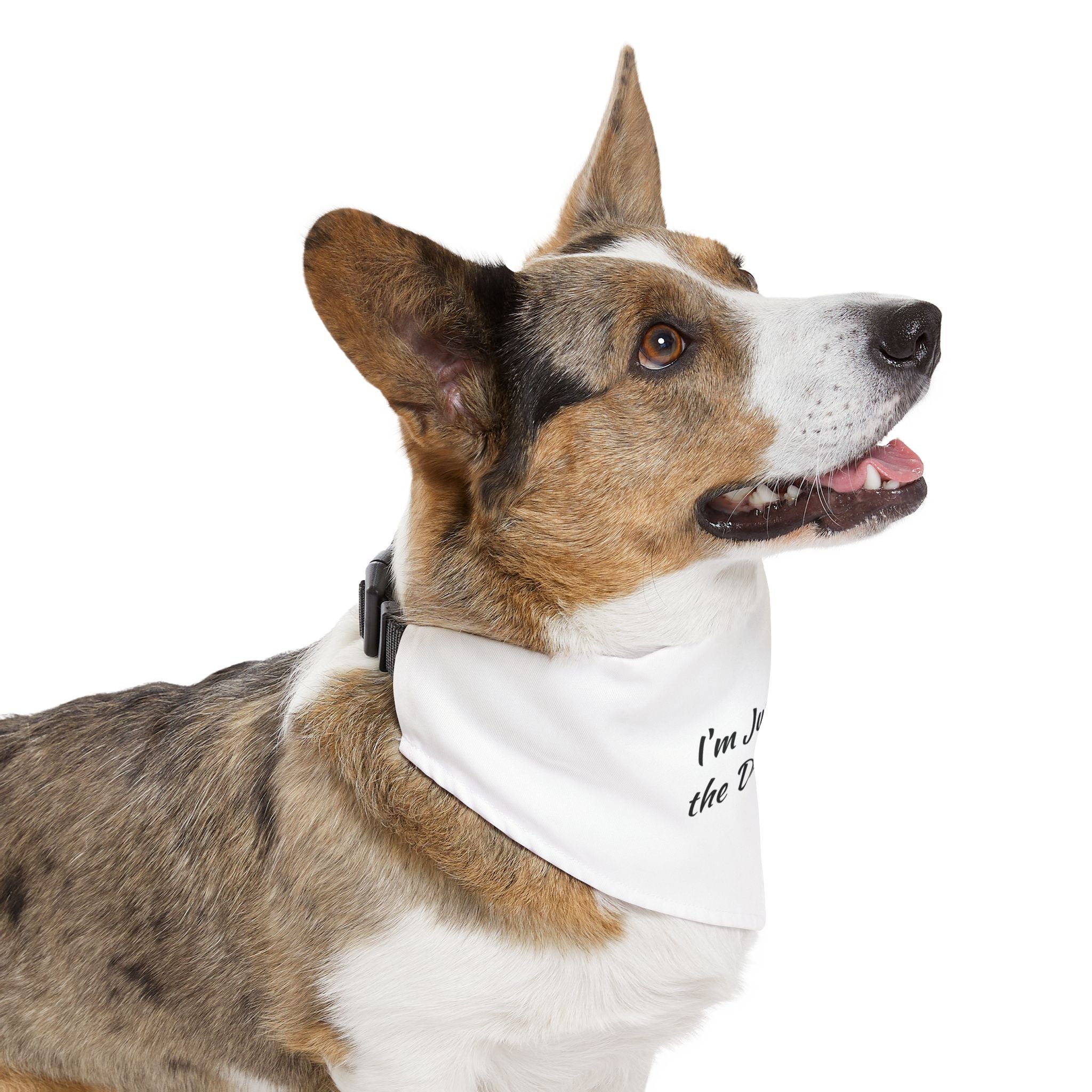 Pet Bandana — "I'm Just Living the Dream Baby" Dog Collar Bandana