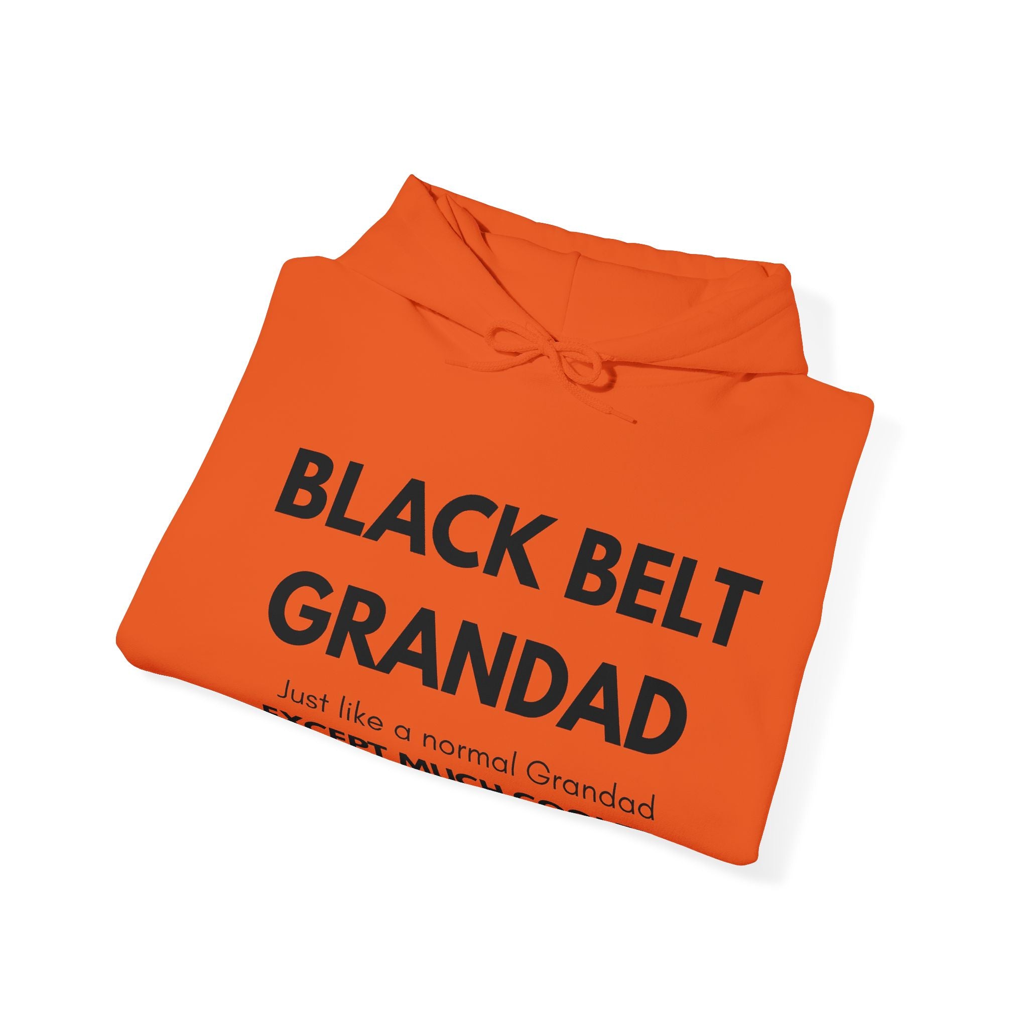 Black Belt Grandad Hoodie — "Just like a normal Grandad except much cooler" Gift