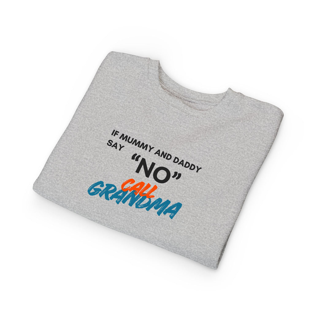 Toddler Sweatshirt: "If Mummy and Daddy Say 'No' Call Grandma" Cute Kids Pullover