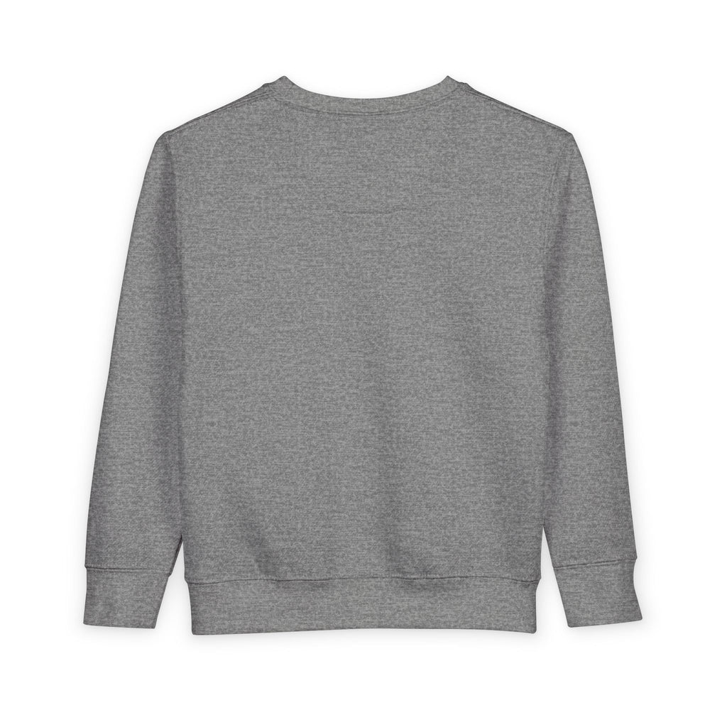 Toddler Sweatshirt: "If Mummy and Daddy Say 'No' Call Grandma" Cute Kids Pullover