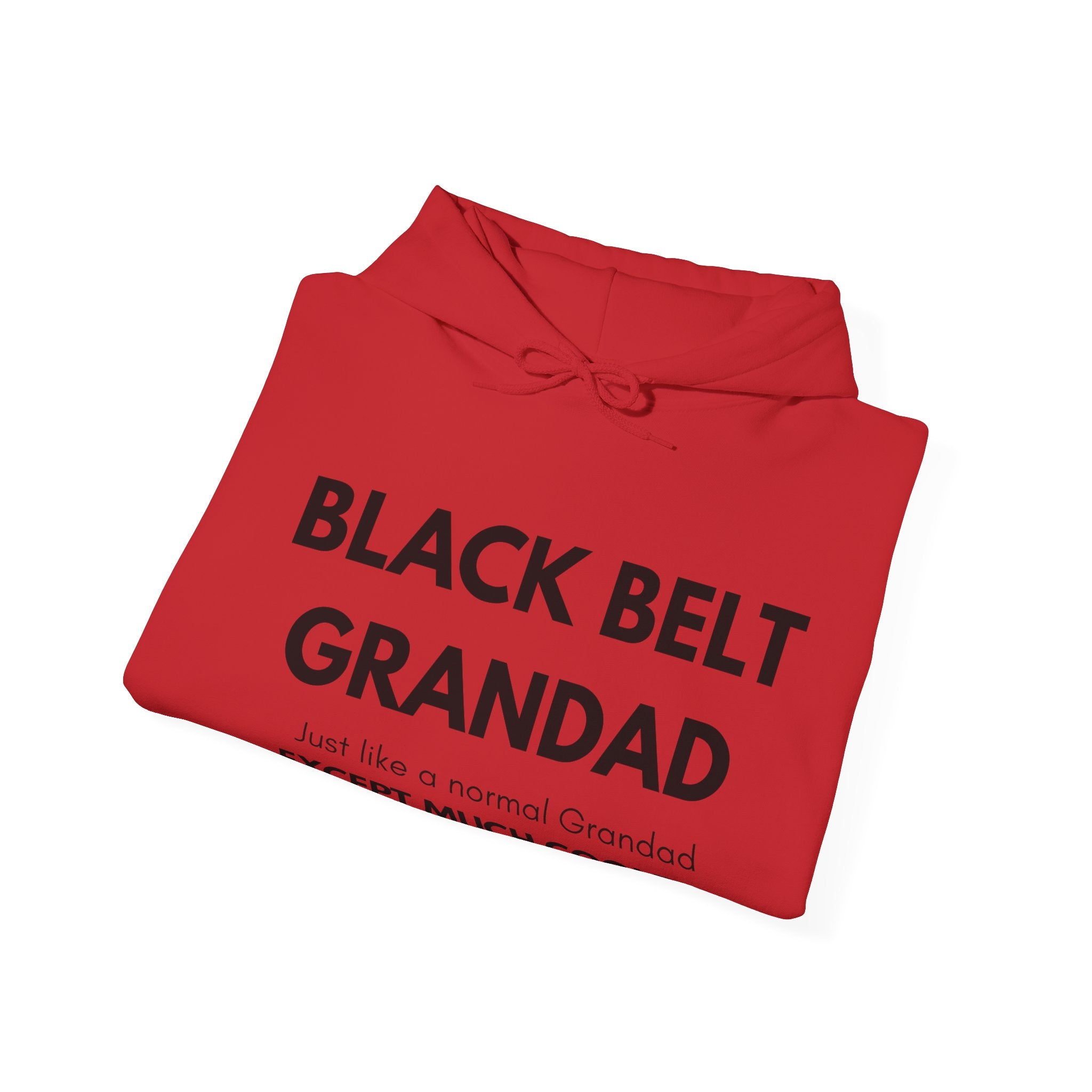 Black Belt Grandad Hoodie — "Just like a normal Grandad except much cooler" Gift