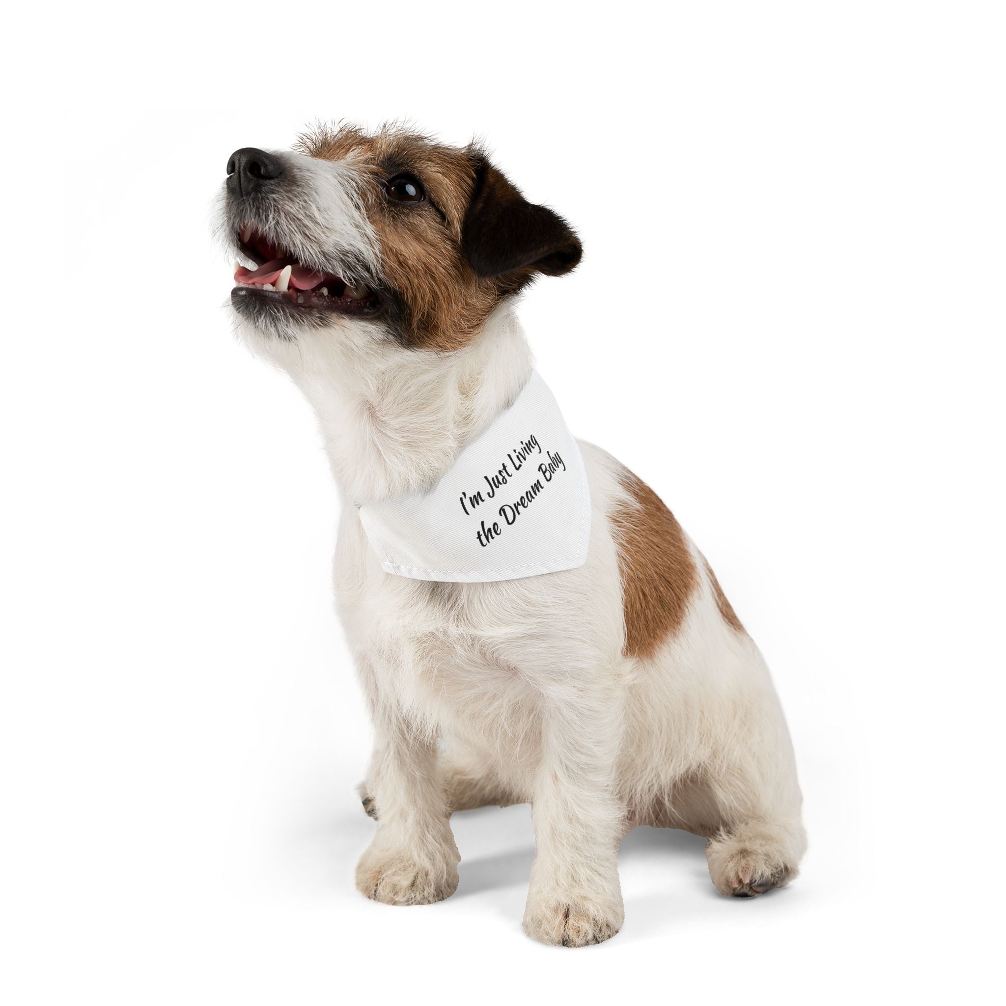 Pet Bandana — "I'm Just Living the Dream Baby" Dog Collar Bandana