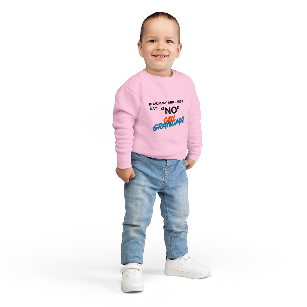 Toddler Sweatshirt: "If Mummy and Daddy Say 'No' Call Grandma" Cute Kids Pullover