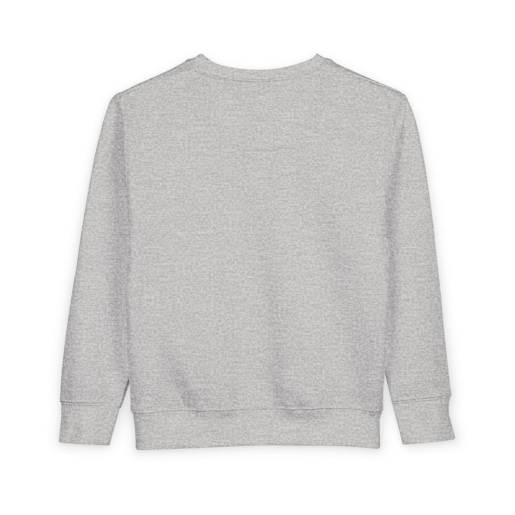 Toddler Sweatshirt: "If Mummy and Daddy Say 'No' Call Grandma" Cute Kids Pullover