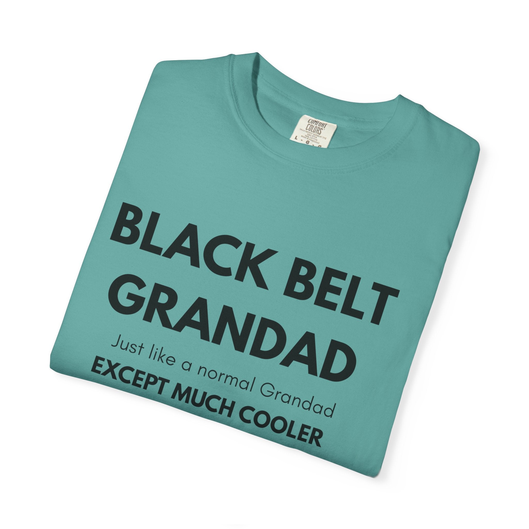 Black Belt Grandad T-Shirt — "Black Belt Grandad: Just like a normal Grandad except much cooler"