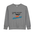 Toddler Sweatshirt: "If Mummy and Daddy Say 'No' Call Grandma" Cute Kids Pullover