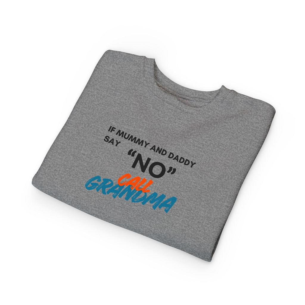 Toddler Sweatshirt: "If Mummy and Daddy Say 'No' Call Grandma" Cute Kids Pullover